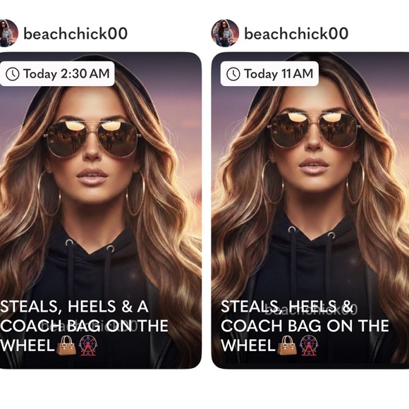 STEALS HEELS AND A COACH BAG ON THE WHEELWIN A COACH BAG, WHOS IT GONNA BE? 7:30 - Picture 2 of 5